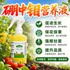 Elementos Traza de Boro Molibdeno Fertilizante Soluble en Agua Co-suplementación de Boro Molibdeno Promueve la Floración Protege el Fruto Cacahuetes Soja Fijación de Nitrógeno Fertilizante Foliar Universal