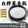 Pó Polipeptídico de Chaga Solúvel em Água Matéria-Prima de Grau Alimentício Pó de Peptídeo de Molécula Pequena Extrato de Chaga em Estoque com Frete Grátis