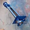Bomba Sumergible de Líquidos Yw 32Yw8-12 Vertical Resistente a Ácidos y Álcalis No Obstruyente Bomba Centrífuga de Engranajes para Líquidos 0.75Kw Bomba Sumergible de Líquidos