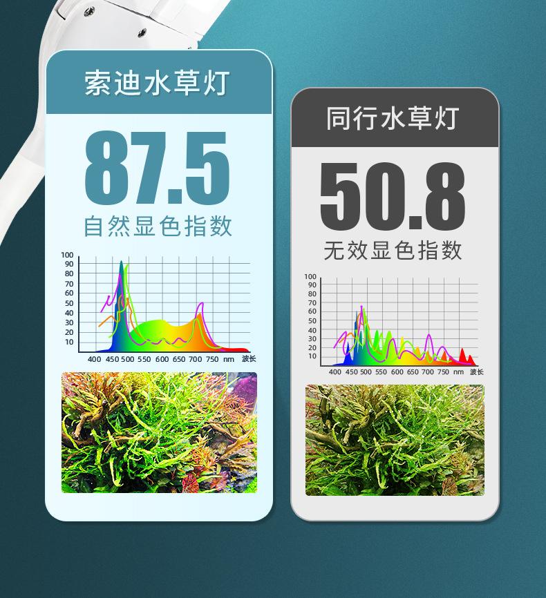 双叶水草_07.jpg