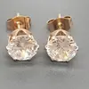 Aretes de Acero Inoxidable 316L con Zirconia de Seis Garras Corona de Comercio Exterior Aretes Pequeños de Borla Aretes de Titanio para Cartílago Pendientes Joyería