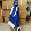 Carrito de Compras Conveniente, Carrito Plegable para Equipaje para Uso en Casa, Carrito Pequeño para Personas Mayores para Subir Escaleras y Viajar