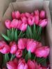 Mini Tulipa Artificial de PU de Alta Qualidade para Exportação Buquê de Noiva Flor de Seda Flor Artificial Casamento Decoração de Casa