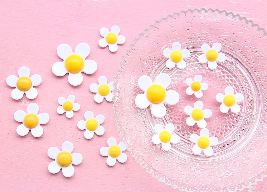 IMG_4862_副本.jpg?x-oss-process=image/format,png