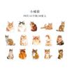 Palavras de Gato Palavras Miau Série Dia Lindo Adesivos PET Diário de Gato Material DIY Adesivos Decorativos 30 6
