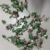 Enredadera de Rosa Simulada Lista para Usar del Fabricante Decoración para Tubería de Aire Acondicionado para Ocultar Flores Falsas Feas Enredaderas de Ratán de Plástico para Ocultar Tiras de Flores
