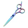 Venta al por mayor de fábrica juego de tijeras para cortar el pelo de 6 pulgadas tijeras profesionales dentadas tijeras finas para salón de belleza tijeras finas de gama media