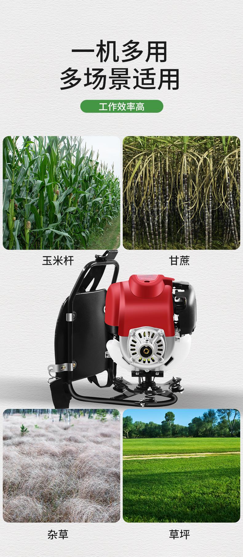 阿里详情_03.jpg