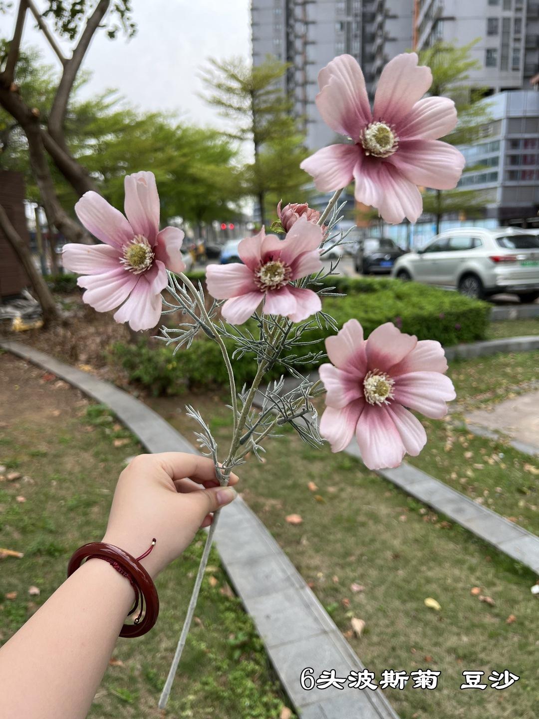 微信图片_20220618155016