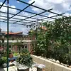 Soporte de montaje para pérgola de uvas para patio exterior, estructura trepadora para maracuyá y calabaza amarga, enrejado de hierro forjado, estructura trepadora para plantas de balcón