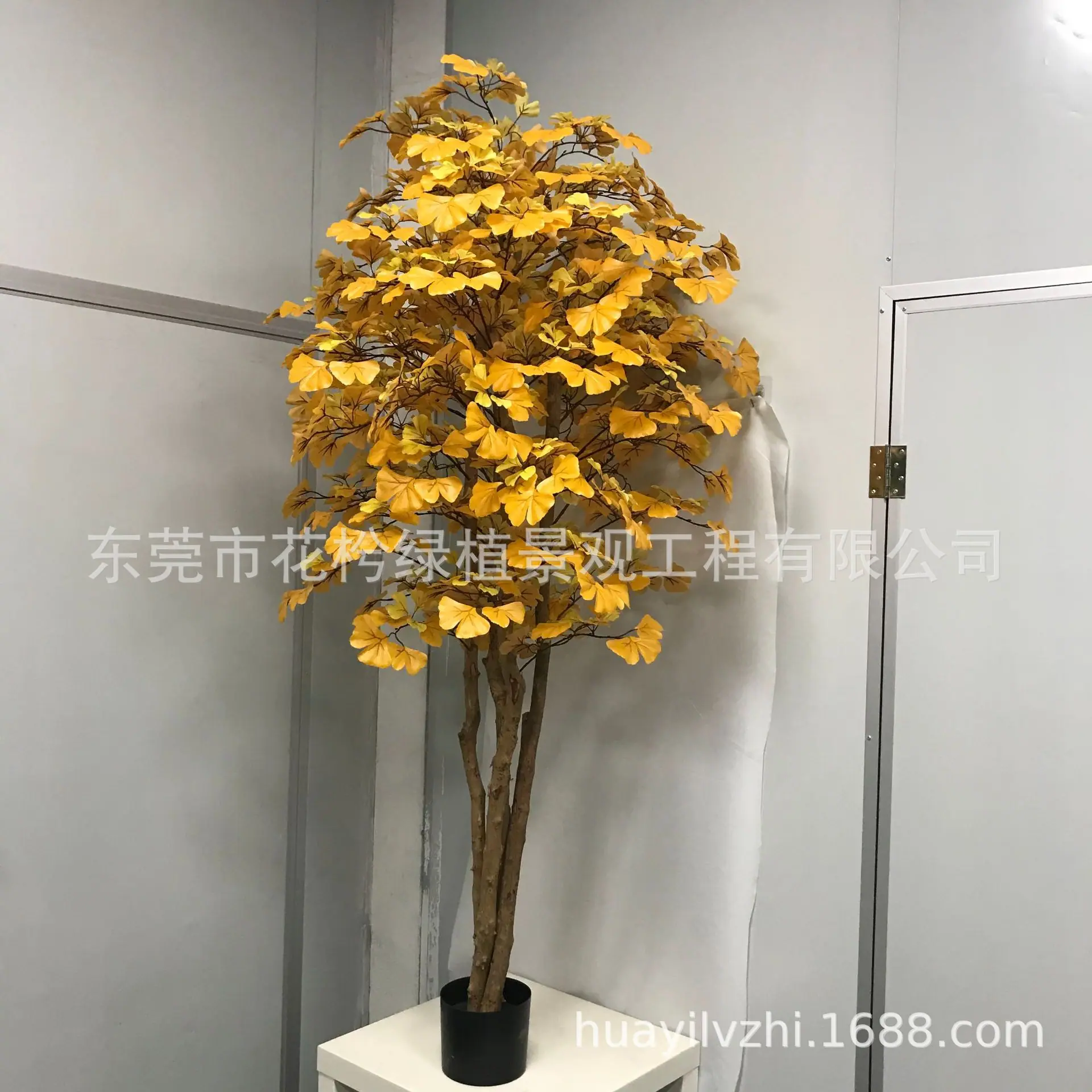微信图片_2021052809445322 - 副本