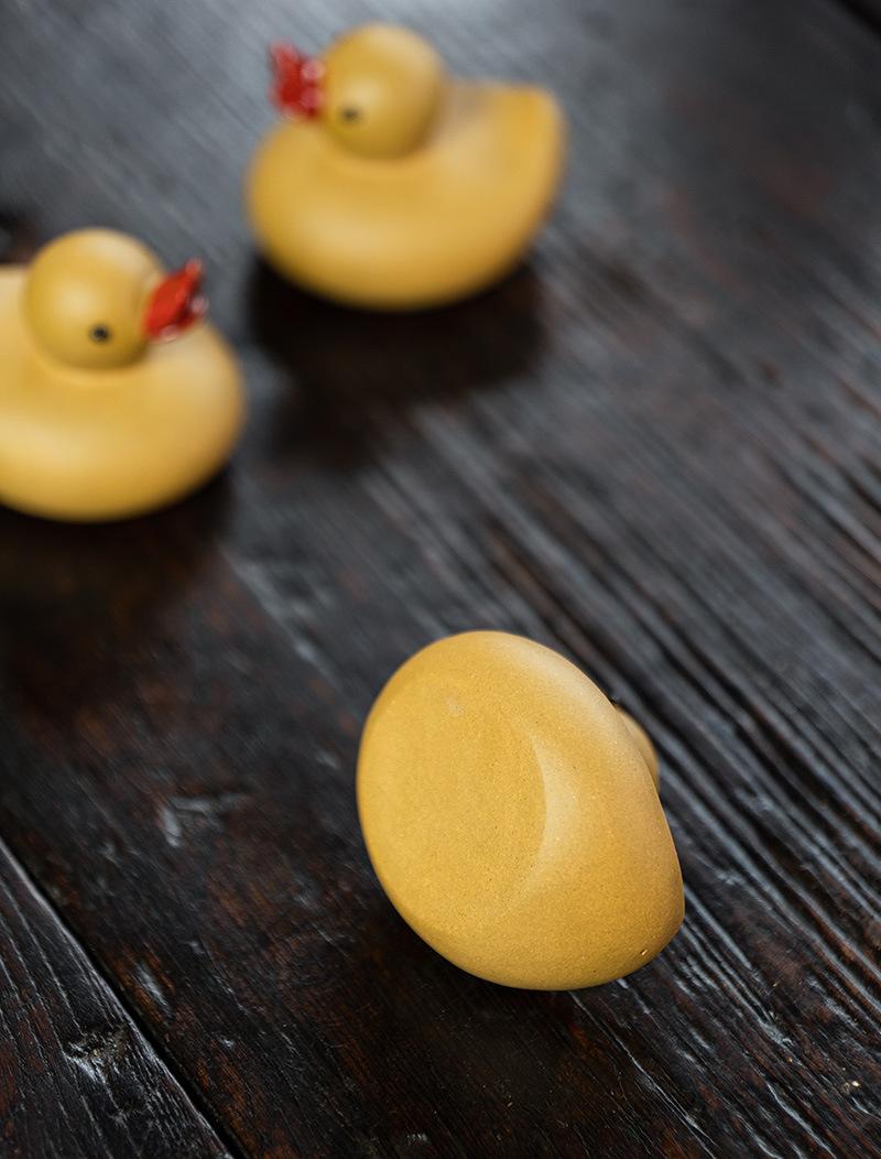 小黄鸭20210806 (12).jpg