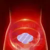 Parche Térmico Haishi Hainuo Parche Calentador Corporal Autocalentable Compresa Caliente Calentador Calentador para Bebés Parche Calentador Compresa Caliente Parche para Alivio del Dolor de Útero