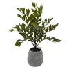 13 Plantas Artificiales de Col China y Crisantemo, Plantas Falsas para Esquinas de Pared, Decoración de Paisajismo Interior para Hoteles y Tiendas, Vegetación