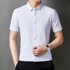 2025 Nova Camisa Masculina de Verão Cor Sólida Tamanho Grande Manga Curta Verão Masculino Casual de Negócios Camisa Branca de Meia Manga