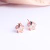 Amazon joyería lote mixto alta calidad AAA circonita incrustada pendientes de oro rosa europeos y americanos pendientes calientes de flor