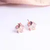 Amazon joyería lote mixto alta calidad AAA circonita incrustada pendientes de oro rosa europeos y americanos pendientes calientes de flor