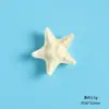 Serie de Vida Marina de Playa de Dibujos Animados Resina Pequeños Accesorios Pegamento de Crema Hecho a Mano Accesorios para Joyería DIY Cinchuelo para el Cabello Pinza para el Cabello
