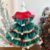 Fábrica de Ropa para Mascotas Venta Directa Transfronteriza Vestido con Patrón de Perro Verde Festivo Navideño Falda para Mascota