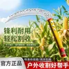 Hoz afilada de acero al manganeso, cuchillo para cortar hierba de acero inoxidable con mango curvo, hoz agrícola de acero integral para tallos de maíz