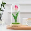 Flor Artificial Tulipa Mini Pu Individual Dia das Mães Dia dos Professores Presente Ornamentos de Flor em Cúpula de Vidro Fabricante Amazon