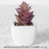 Suculentas Simuladas Personalizadas Cerámica Bonsái Plantas Verdes Escandinavas Adornos Hogar Interior Sala de Estar Flores Falsas Suculentas Plantas en Maceta