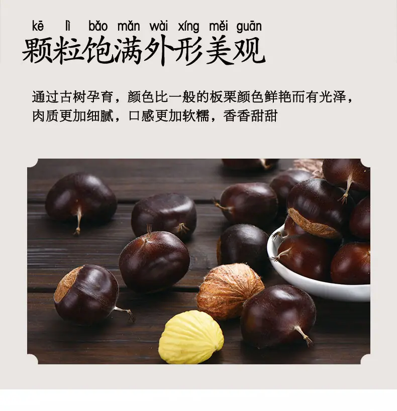 新老树_07.jpg