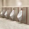 Vaso sanitário Vaso sanitário Público Tela Divisória Changhong Banheiro Banheiro Masculino Vaso sanitário de Aço Inoxidável Divisória de Vidro