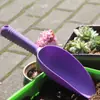 Pala de jardinería engrosada pala de excavación para balcón cuchara para tierra de carne herramientas para aflojar tierra de flores jardinería venta al por mayor