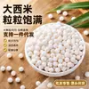 Perlas de sagú grandes seleccionadas, regordetas y masticables, para ingredientes de bebidas dulces, materias primas para postres a base de granos, suministro del fabricante, venta al por mayor y al por menor