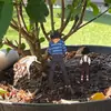Mz962-966 Transfronterizo Amazon Planta en Maceta Divertida Mini Figura Pequeña Cartel Decorativo Divertida Planta en Maceta que Orina Inserto