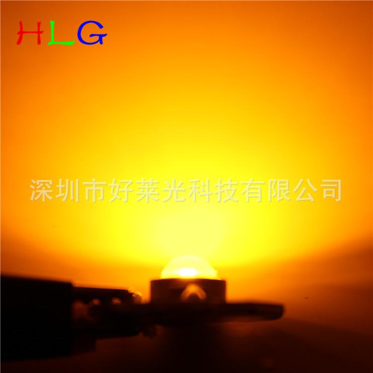 IMG_6009_副本