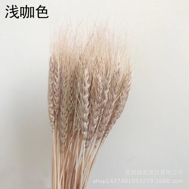 QQ图片20190517155723.jpg