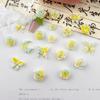 Novos Acessórios para Nail Art Florais Degradê Duas Cores Amarelo e Verde Bolsa de Materiais Luminous Resin Firefly Acessórios para Nail Art Mistos