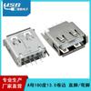 Conector USB hembra de 180 grados para rizado de 13.0 directo de fábrica pata recta/pata curva