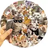 50 Pegatinas de Gato Lindas y Divertidas de Dibujos Animados para Decoración DIY Teléfono Móvil Patineta Taza de Agua Mascotas Pegatinas Impermeables