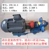 Bomba de Aceite de Engranajes de Hierro Fundido ZYB18.3/33.3/55/83.3 Alta Presión Alta Temperatura Eléctrica 220V380V Bomba de Aceite de Escoria