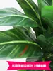Qin Ye Rong Planta Fotográfica en Maceta Hotel Planta Verde Falsa Biónica Decoración de Sala de Estar Árbol Falso de Pie Flor Falsa Puerta