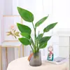 Planta de Ave del Paraíso Hidropónica en Maceta para Escritorio, Estilo Nórdico, Planta de Interior Perenne, Hojas Grandes, Cultivada en Agua, Tolera la Sombra, para Sala de Estar
