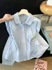 Nueva camisa dulce de estilo francés para mujer de principios de otoño, con un diseño único, manga larga, corte holgado y cuello de muñeca, disponible en blanco y azul