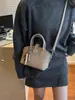 Bolso de Mano Cuadrado Pequeño Versátil de Moda para Mujer 2025 Nuevo Modelo de Invierno Bolso de Hombro Cruzado Mate de Alta Calidad de Nicho