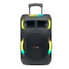 Altavoz de Karaoke Popular de Fabricante de 12 Pulgadas y 40W para Celebraciones Comunitarias, Karaoke Bluetooth con Micrófono