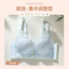 Lencería para mujer de busto pequeño, con efecto push-up, soporte lateral en el pecho, anti-caída, levanta y sostiene, encaje sexy, ajustable, sujetador sin varillas