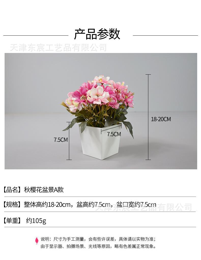 详情_01.jpg