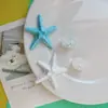 Accesorios Grandes de Resina de Concha y Estrella de Mar Imanes para Nevera DIY Decoraciones para Fundas de Teléfono Hebillas para Zapatos DIY Transfronterizo