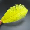 30-35cm Plumas de Avestruz Lámpara de Plumas Arreglo Floral de Plumas de Avestruz Plumas de Boda