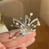 Pente de Cabelo com Padrão de Fogos de Artifício Novo Estilo, Acessório de Cabelo Estilo Hepburn, Simples e Versátil, Presilha de Cabelo da Moda e Exquisita para Meninas Que Realça Sua Elegância