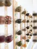 Museu de Sementes DIY para Jardim de Infância Caixa de Materiais de Criação Ambiental Corredor da Escola Arranjo de Criação Ambiental Caixa de Sementes