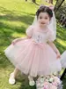 Vestido de Princesa Elsa para Niña Verano 2026 Nuevo Estilo Vestido de Elsa de Frozen para Niña Vestido de Verano para Niños