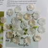 Estéreo Simulado Gradiente de Dos Colores Hoja de Loto Hoja Acrílica DIY Pendientes Hechos a Mano Material para Tocado Venta al por Mayor